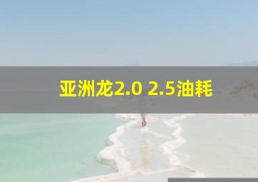 亚洲龙2.0 2.5油耗